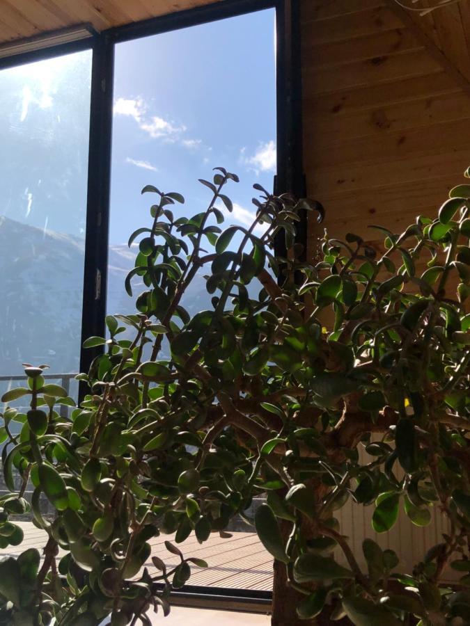 Alagi Cottage Kazbegi Exteriör bild