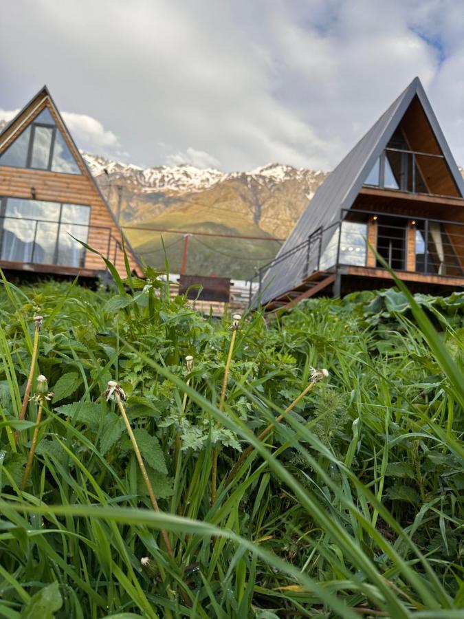 Alagi Cottage Kazbegi Exteriör bild